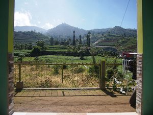 Homestay Dieng